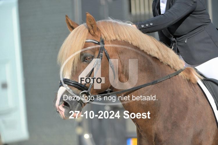 241027 1373