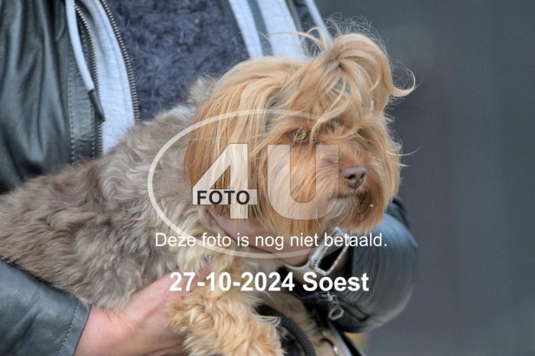 241027 1563