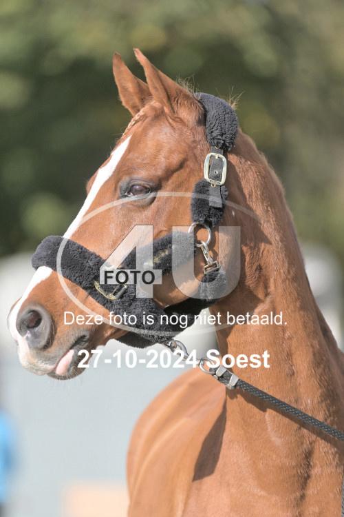 241027 2114