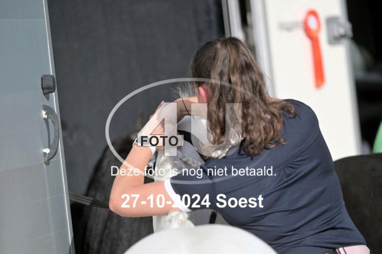241027 2231