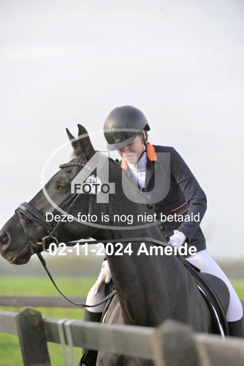 241102 0143