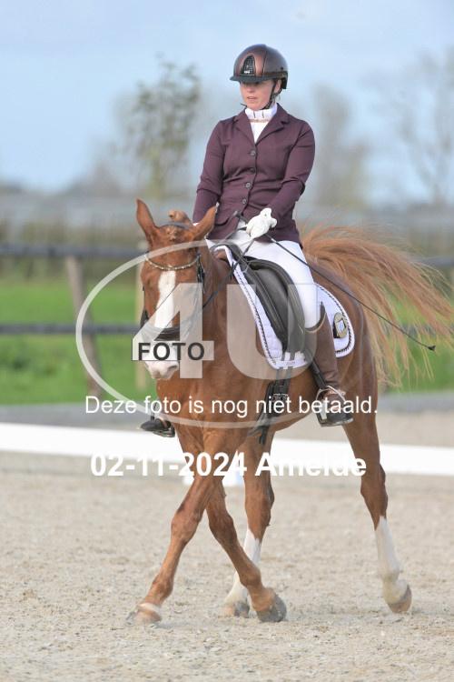 241102 0500