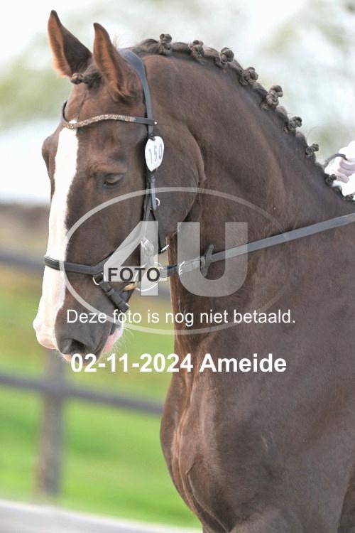 241102 1241