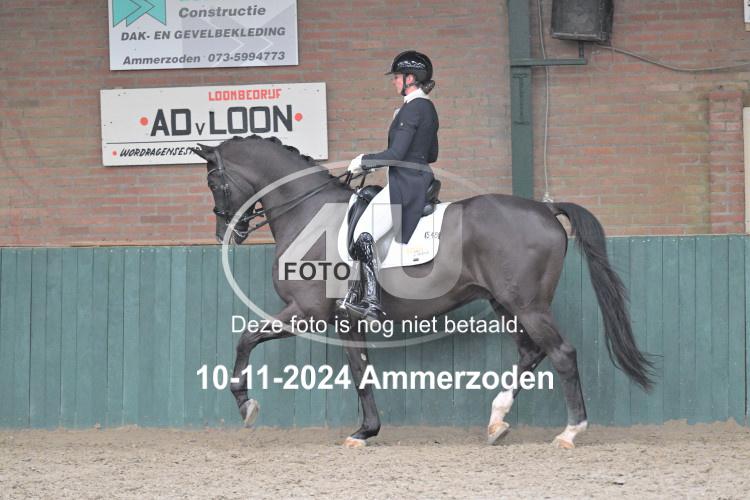 241110 0775