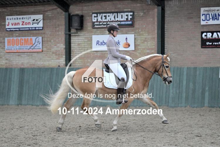241110 1862