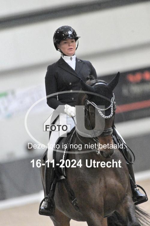 241116 0561
