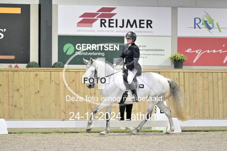241124 0212