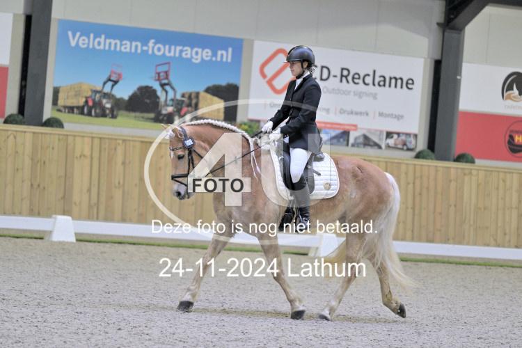 241124 0565