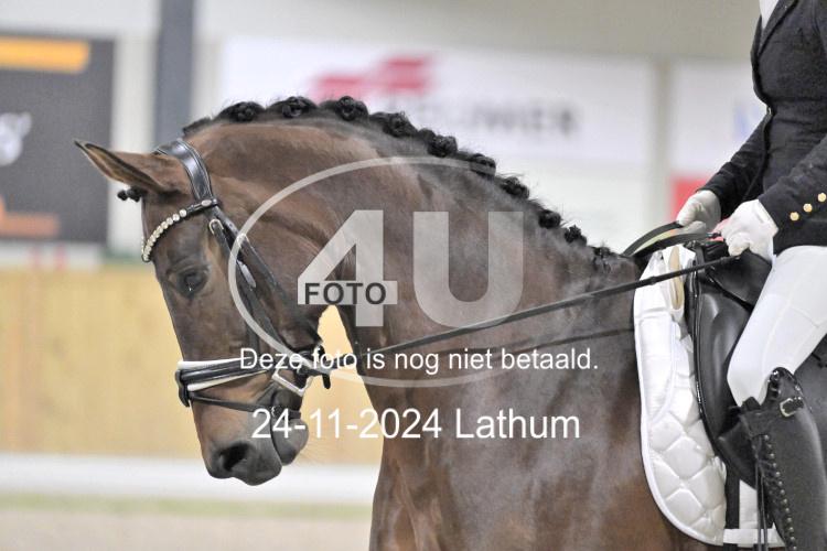 241124 1441