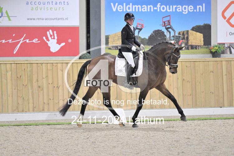 241124 1479