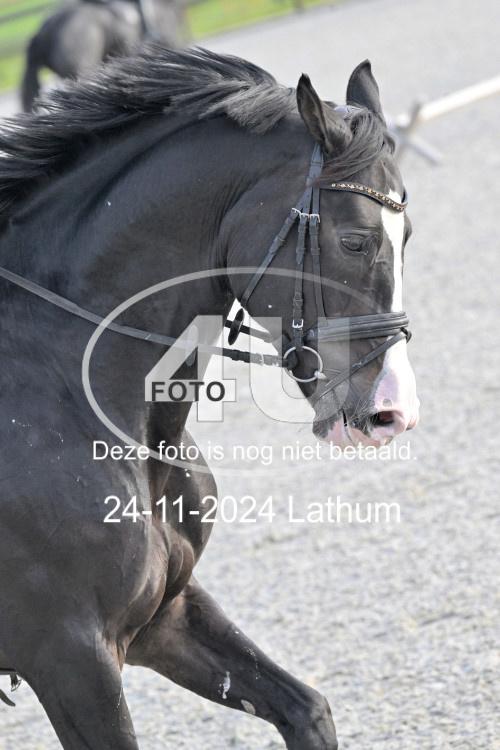 241124 2031