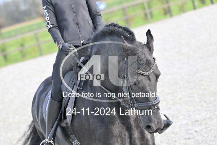 241124 2033