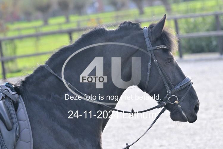 241124 2080