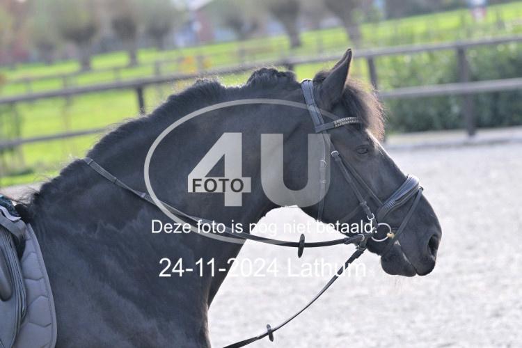 241124 2086