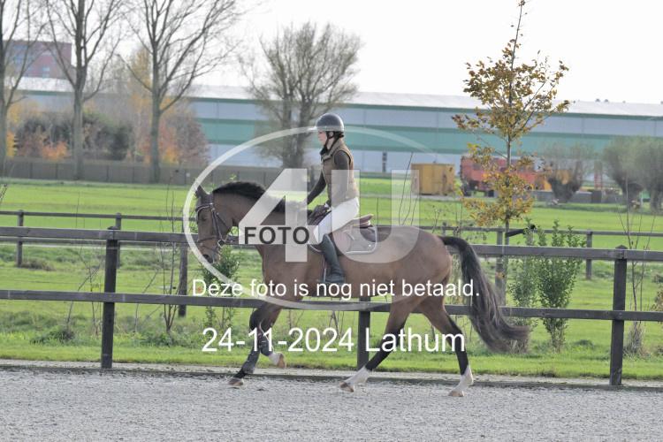 241124 2093