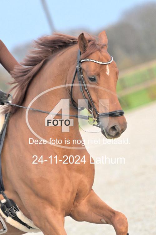 241124 2259