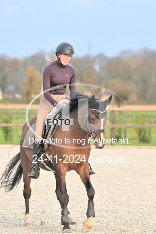 241124 2260