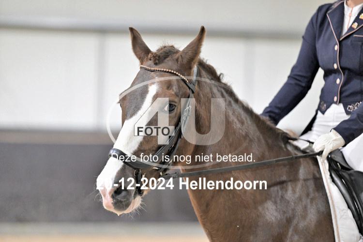 241220 0231