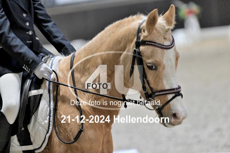 241221 1341