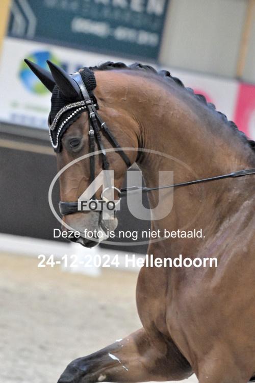 241224 0401