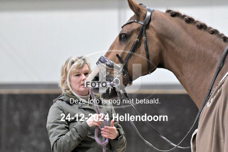 241224 0645