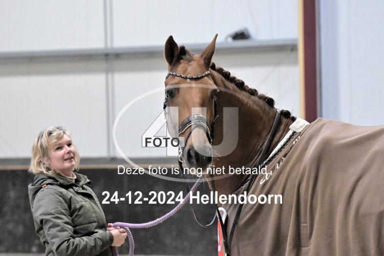 241224 0650