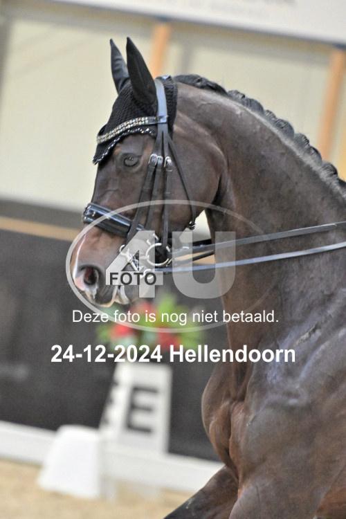 241224 0734
