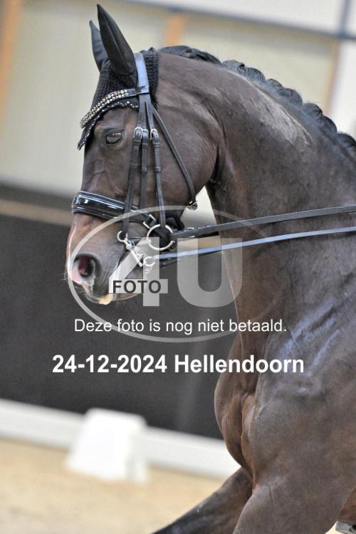 241224 0735