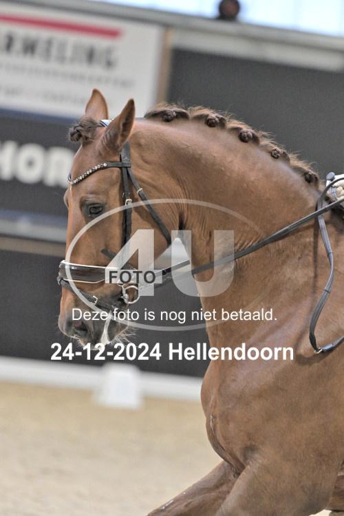 241224 0838