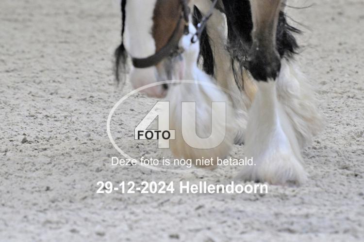 241229 0456