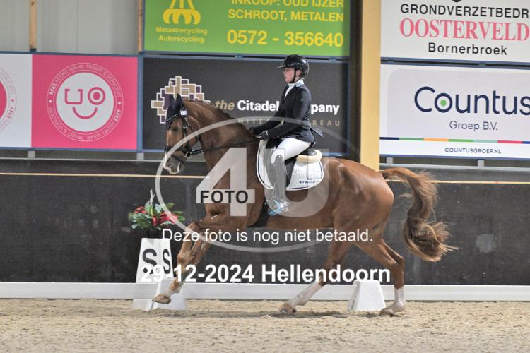 241229 0665