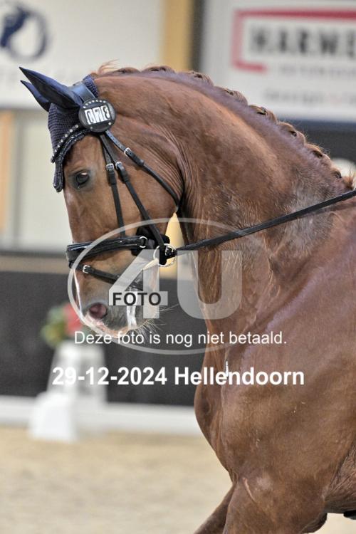 241229 0705