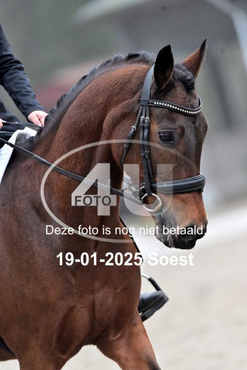 250119 0966