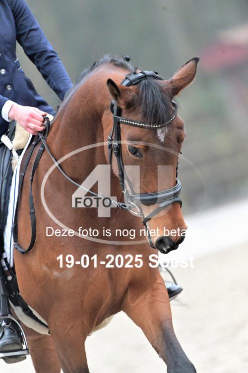 250119 1263
