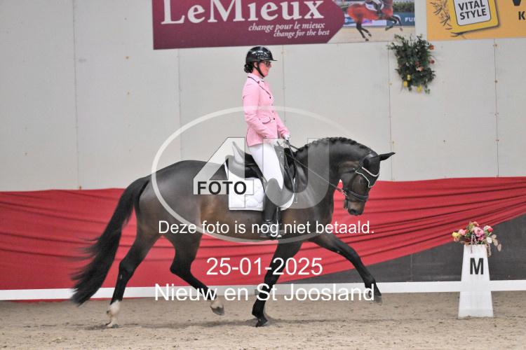 250125 0313