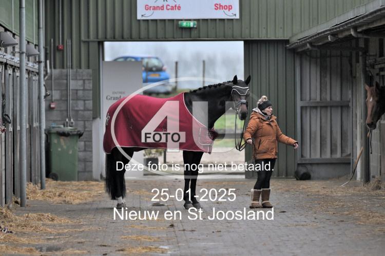 250125 0392