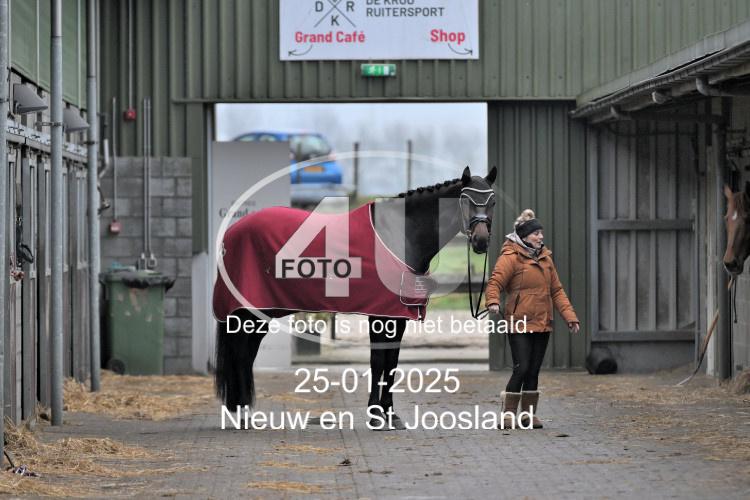 250125 0393
