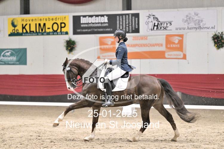 250125 3310
