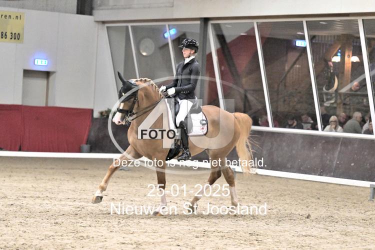 250125 3446