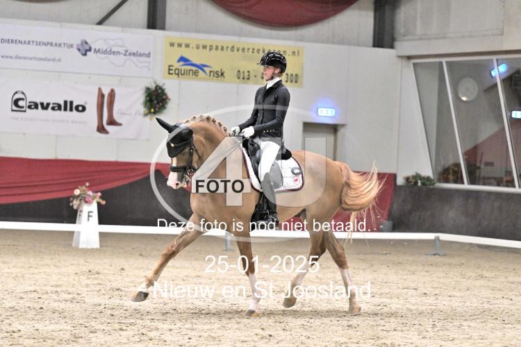 250125 3447