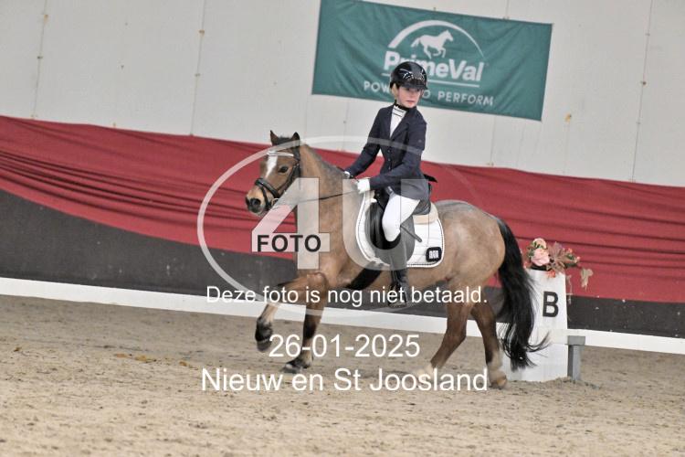 250126 0306