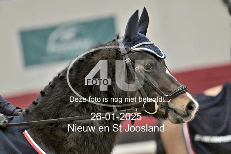 250126 4052