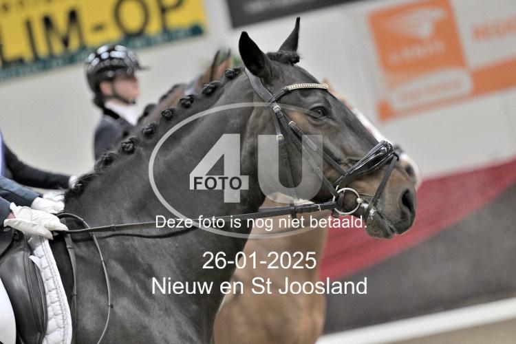 250126 6036