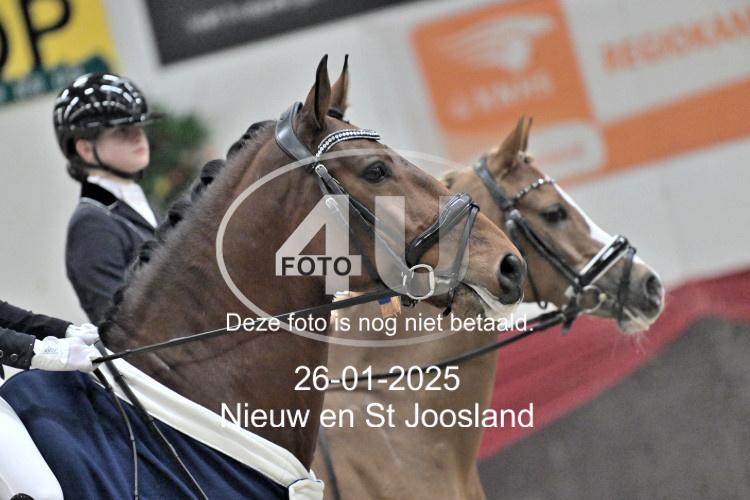 250126 6039