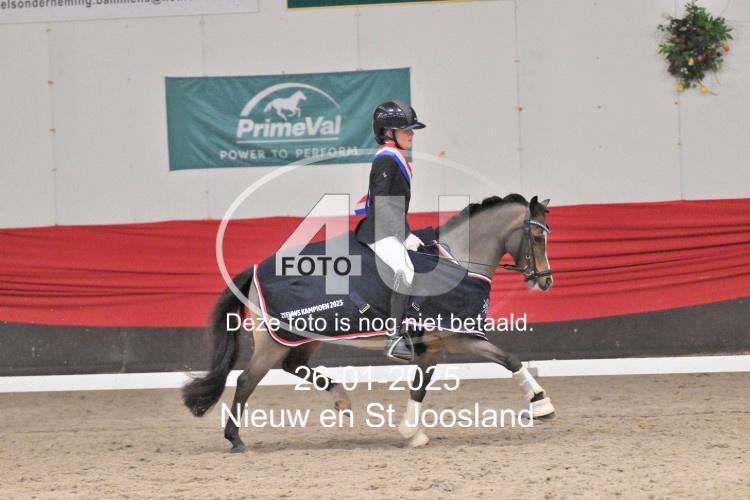 250126 7081