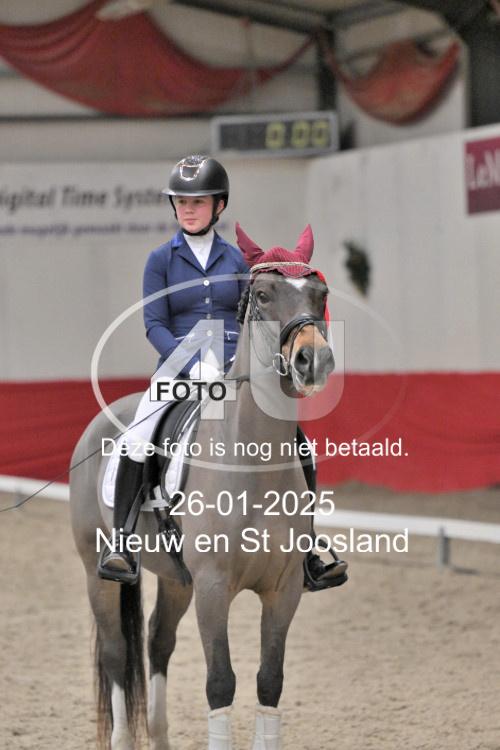 250126 8033