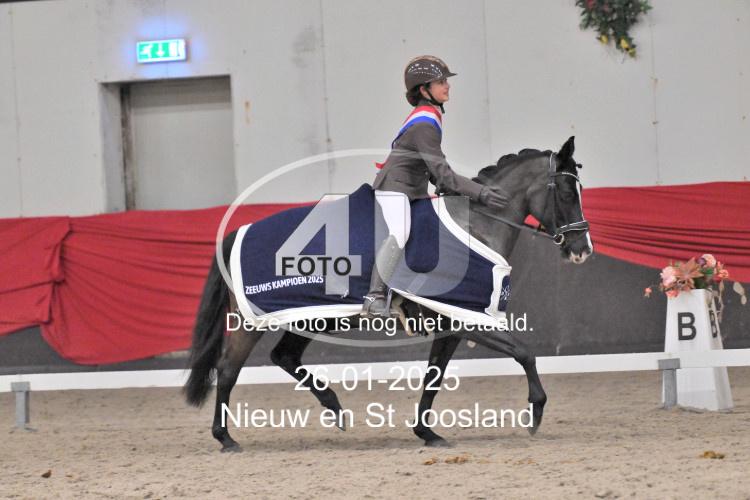 250126 8081