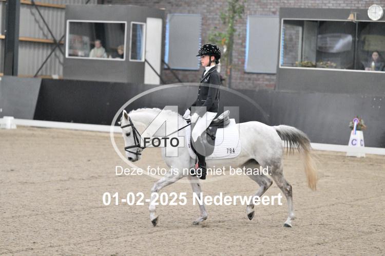 250201 0020