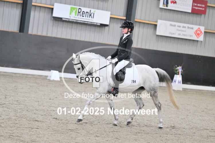 250201 0042