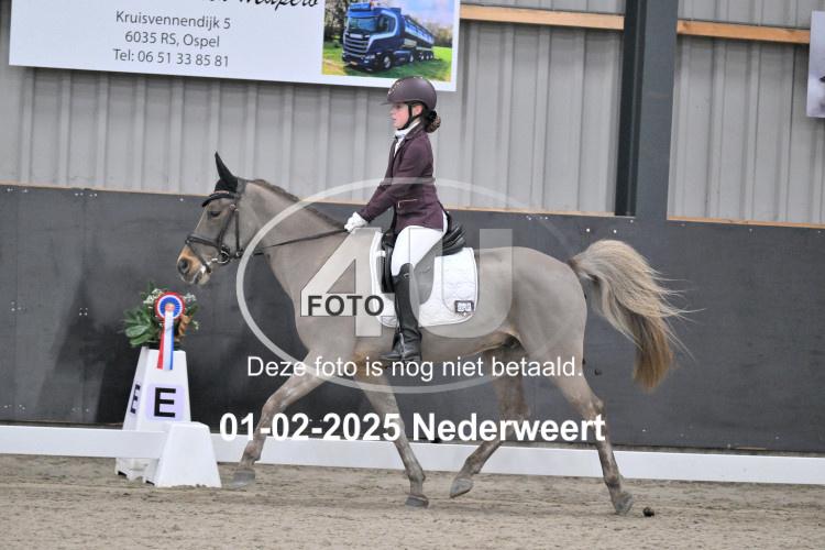 250201 0061